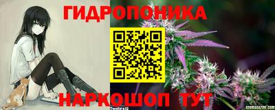 PSILOCYBIN Кизилюрт