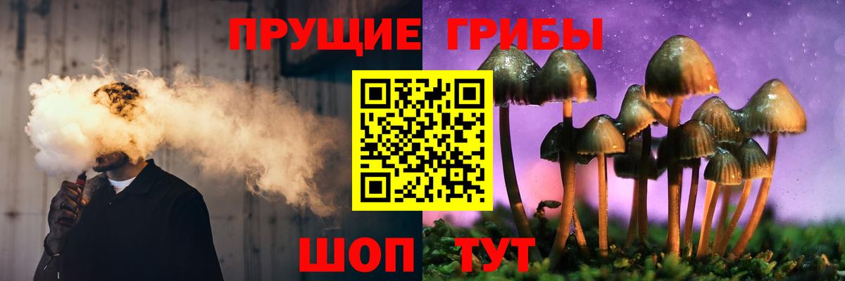 Псилоцибиновые грибы Cubensis  Вход с VPN  Лысьва 